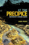 Cover of At the Precipice