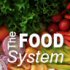 The Food System graphic