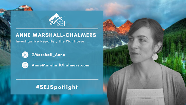 #SEJSpotlight graphic for Anne Marshall-Chalmers