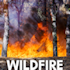 Wildfire topic graphic